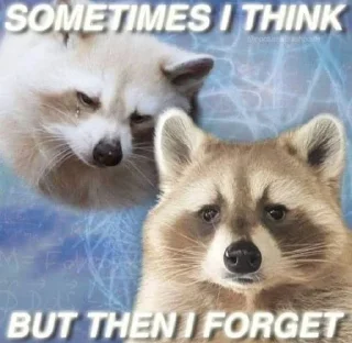 Sticker from The moody raccoon