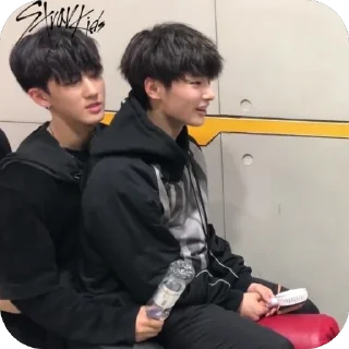🤍 emoji StrayKids Telegram sticker 20 of 86