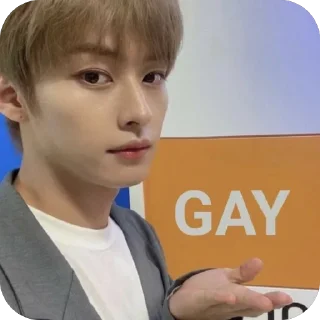 🏳️‍🌈 emoji StrayKids Telegram sticker 7 of 86