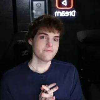 🌿 emoji Dream Face Reveal by 🔸️ @OrangeNotFound 🔸️ Telegram sticker 5 of 33