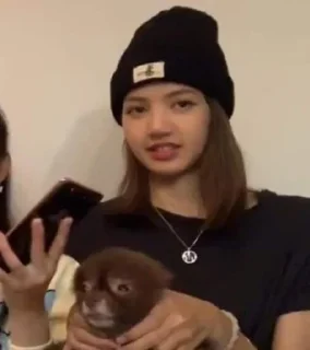 😖 emoji lili @BLACKPINK4 Telegram sticker 8 of 70