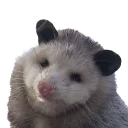 Sticker from REAL Poss Stickers