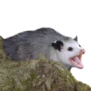 Sticker from REAL Poss Stickers