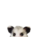 Sticker from REAL Poss Stickers