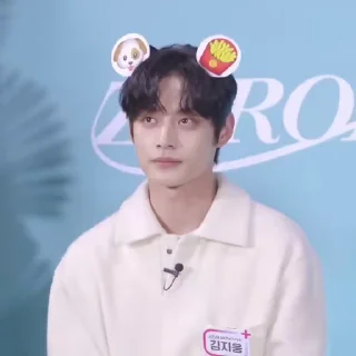 🐶 emoji Jiwoong ⋮ @Zb1boyz Telegram sticker 15 of 30