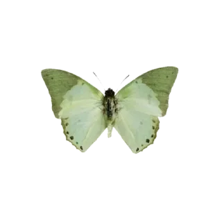 🌟 emoji ÜZGÜNKİLOBATRA😔😔 Telegram sticker 15 of 82