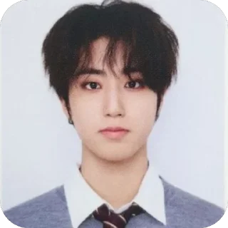 🙂 emoji StrayKids Telegram sticker 12 of 86