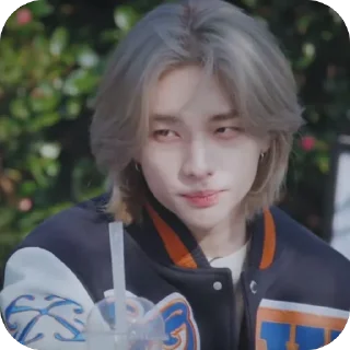 🫥 emoji StrayKids Telegram sticker 5 of 86