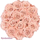 💐 emoji flowers 🌸@pinkstickers🌸 Telegram sticker 12 of 66