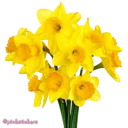 🌼 emoji flowers 🌸@pinkstickers🌸 Telegram sticker 7 of 66
