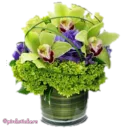 💐 emoji flowers 🌸@pinkstickers🌸 Telegram sticker 24 of 66