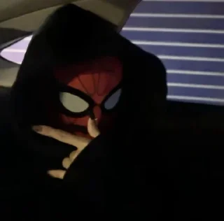 🌟 emoji 🕷️  @chicagolvrs Telegram sticker 2 of 50