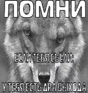 🤘 emoji Хз чо это Telegram sticker 19 of 39