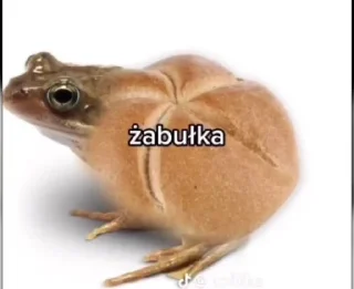 🌟 emoji Żaba Telegram sticker 6 of 75