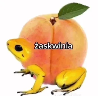 🌟 emoji Żaba Telegram sticker 10 of 75