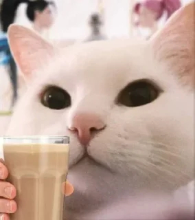 🥛 emoji MEMESARA Telegram sticker 19 of 90