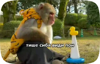 🤫 emoji Обезьянки поны Telegram sticker 6 of 30