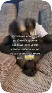 😭 emoji Обезьянки поны Telegram sticker 20 of 30