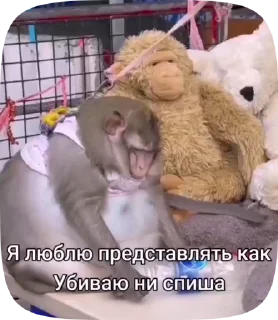 ☠️ emoji Обезьянки поны Telegram sticker 17 of 30