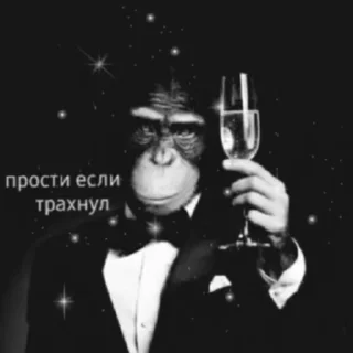 Sticker from секс по телефону @shiguma