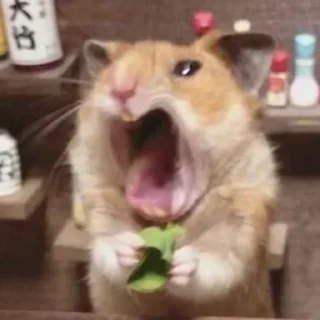 🐹 emoji Рыбка в чашке Telegram sticker 20 of 72