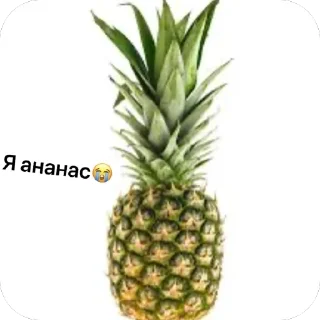 Sticker from Стикерв