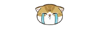 😭 emoji Котики от @ministicers Telegram sticker 19 of 32