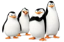 😝 emoji pinguini Madagascar Telegram sticker 7 of 9