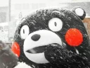 🌨 emoji Kumamon by @Torton Telegram sticker 20 of 79
