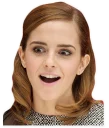 😃 emoji Emma Watson Telegram sticker 8 of 15