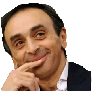 Sticker from Zemmour @FranceCanal