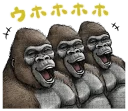 😆 emoji Gorilla Gorilla Telegram sticker 9 of 40