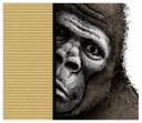 😐 emoji Gorilla Gorilla Telegram sticker 8 of 40