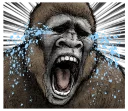 😭 emoji Gorilla Gorilla Telegram sticker 22 of 40