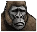 😞 emoji Gorilla Gorilla Telegram sticker 21 of 40
