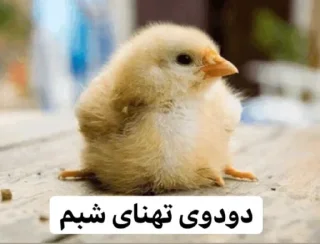Sticker from So🌸asl🐣