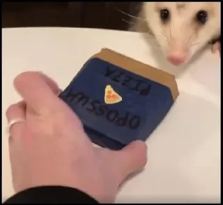 Sticker from Opossum