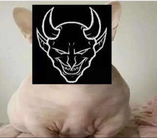 😈 emoji как их там... скинхеды Telegram sticker 6 of 107