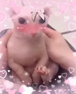 🌟 emoji как их там... скинхеды Telegram sticker 23 of 107