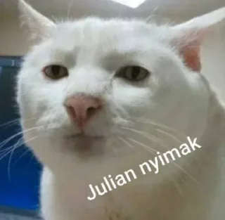 😐 emoji white cat julian Telegram sticker 5 of 11