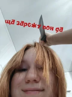 🔪 emoji Сорок @friendtarakan Telegram sticker 8 of 47