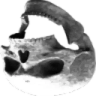 💀 emoji Greyed-out Fuck Man! Telegram sticker 15 of 17