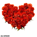 Sticker from ALI-AFSHAR-20