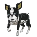 🐶 emoji Jojo Telegram sticker 7 of 90