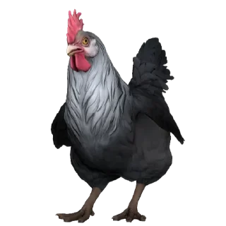 🐦 emoji CS | کانتر Telegram sticker 17 of 61