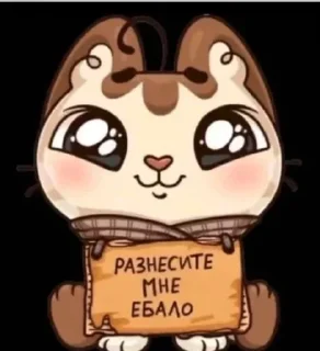 🥺 emoji саманточка!!🤯 Telegram sticker 5 of 16
