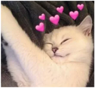 ☺️ emoji Cats Telegram sticker 15 of 120