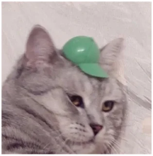 😓 emoji Cats Telegram sticker 10 of 120