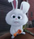 🙄 emoji Khargoshay fati😌🐰🐇 Telegram sticker 5 of 34