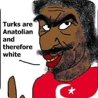 🖼 emoji Anti-turks pack Telegram sticker 16 of 29